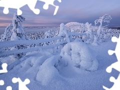 Drzewa, Ogrodzenie, Finlandia, Wzgórze, Laponia, Śnieg, Zima, Rezerwat Valtavaara