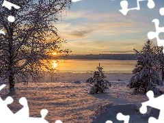 Drzewa, Jezioro Glafsfjorden, Arvika, Szwecja, Zima, Zachód słońca