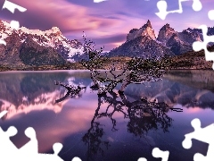 Drzewa, Jezioro Pehoe, Masyw Torres del Paine, Patagonia, Zanurzone, Park Narodowy Torres del Paine, Góry Cordillera del Paine, Chile, Wschód słońca, Konary