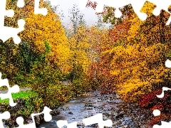 Drzewa, Jesień, Droga, Kolorowe, Rzeka