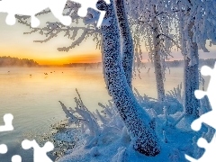 Ptaki, Jezioro, Śnieg, Wschód słońca, Zima, Drzewa, Szron