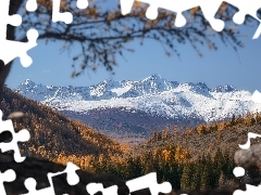 Góry, Ośnieżone, Jesień, Drzewa, Dolina, Szczyty