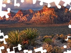 Skały, Góry, Nevada, Czerwone, Red Rock Canyon, Rośliny, Stany Zjednoczone