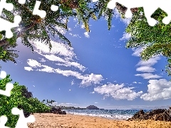 Plaża, Promienie słońca, Roślinność, Morze, Hawaje, Palmy, Chmury