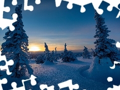 Region Laponia, Finlandia, Gmina Posio, Park Narodowy Riisitunturi, Drzewa, Świerki, Zachód słońca, Ośnieżone, Zima
