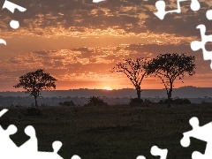 Drzewa, Zachód słońca, Uganda, Afryka, Kisoro, Chmury