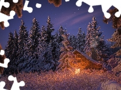 Drzewa, Zima, Oświetlony, Dom, Świerki, Śnieg