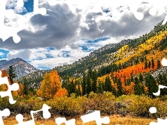 Jesień, Chmury, Drzewa, Lasy, Góry