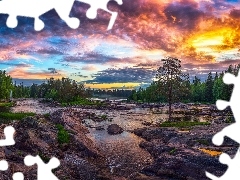 Teren Koiteli, Rzeka Kiiminkijoki, Kiiminki, Finlandia, Drzewa, Kamienie, Chmury, Las, Wschód słońca