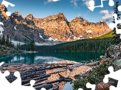 Moraine Lake, Jezioro, Kłody, Góry, Alberta, Kanada, Drzewa, Park Narodowy Banff, Las