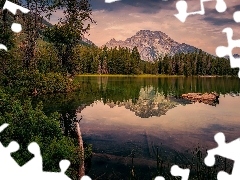 Jezioro Leigh Lake, Stan Wyoming, Lasy, Park Narodowy Grand Teton, Stany Zjednoczone, Góry, Drzewa
