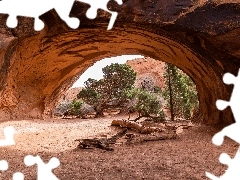 Drzewa, Navajo Arch, Stan Utah, Stany Zjednoczone, Park Narodowy Arches, Skały