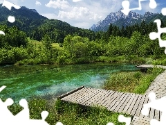 Lasy, Góry, Drzewa, Jezioro, Kranjska Gora, Słowenia, Traw