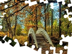 Rzeczka, Jesień, Drzewa, Mostek, Park
