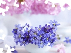 Kwiaty, Przylaszczki, Rozmycie, Niebieskie