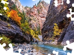 Kanion Zion Narrows, Stan Utah, Roślinność, Park Narodowy Zion, Stany Zjednoczone, Skały, Rzeka Virgin River