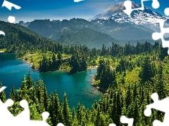 Eunice Lake, Drzewa, Góra, Stan Waszyngton, Mount Rainier, Las, Góry Kaskadowe, Stany Zjednoczone, Park Narodowy Mount Rainier, Jezioro