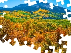 Drzewa, Kolorado, Kebler Pass, Droga, Góry, Stany Zjednoczone, Przełęcz, Jesień, Lasy, Sawatch Range