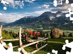 Góry, Pelargonie, Tyrol, Austria, Alpy, Sanki