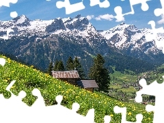 Łąka, Góry, Domy, Szwajcaria, Dolina, Alpy Berneńskie