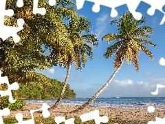 Morze Karaibskie, Grenada, Wyspa, Tropiki, Palmy, Plaża La Sagesse