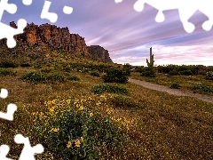 Stan Arizona, Stany Zjednoczone, Góry, Superstition Mountains, Kwiaty, Kaktus, Droga, Trawa, Skały