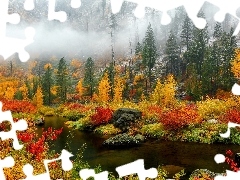 Las, Jesień, Drzewa, Mgła, Kolorowe, Liście, Kamienie, Kr