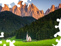 Santa Maddalena, Południowy Tyrol, Dolomity, Drzewa, Kości