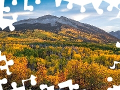 Przełęcz, Kebler Pass, Jesień, Góry, Lasy, Kolorado, Stany Zjednoczone, Drzewa