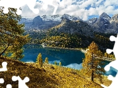 Góry, Jezioro, Prowincja Belluno, Włochy, Drzewa, Fedaia L