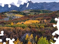 Stan Kolorado, Stany Zjednoczone, Telluride, Las, Drzewa, Krzewy, Góry, San Juan Mountains, Jesień