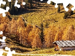 Dom, Droga, Niemcy, Drzewa, Bawaria, Góry, Jesień, Berchtesgaden