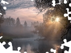 Rzeka Istra, Przebijające światło, Obwód moskiewski, Mgła, Wschód słońca, Drzewa, Rosja