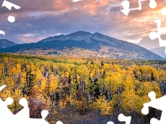 Kebler Pass, Stany Zjednoczone, Drzewa, Góry, Lasy, Chmury, Wschód słońca, Przełęcz, Kolorado, Jesień, Roślinność