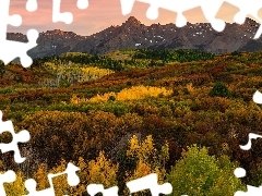Stan Kolorado, Stany Zjednoczone, Telluride, Kolorowe, Góry, San Juan Mountains, Las, Jesień, Drzewa
