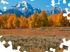 Góry, Teton Range, Stany Zjednoczone, Pożółkłe, Stan Wy