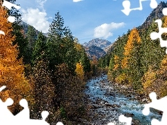 Rzeka, Kamienie, Drzewa, Góry, Jesień