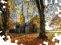 Kościół, Hrabstwo Tyrone, Drzewa, Strabane, Irlandia Północna, Jesień, Promienie słońca