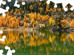 Drzewa, Jesień, Odbicie, Las, Jezioro