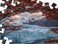 Drzewo, Perito Moreno, Patagonia, GĂłry, Lodowiec, Park Narodowy Los Glaciares, Argentyna