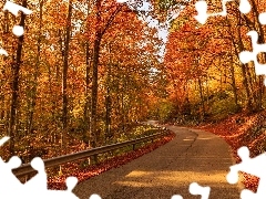Liście, Jesień, Droga, Drzewa, Las