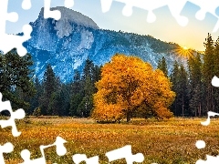 Góry, Drzewa, Stany Zjednoczone, Las, Stan Kalifornia, Park Narodowy Yosemite, Jesień, Promienie słońca