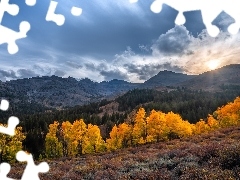 Góry, Jesień, Drzewa, Słońce, Eastern Sierra, Sonora Pass, Stany Zjednoczone, Kalifornia, Rośliny