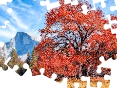 Drzewo, Jesień, Drzewa, Rozłożyste, Góry