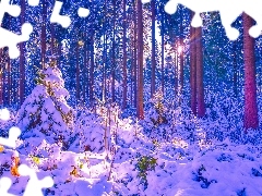 Zaspy, Promienie słońca, Drzewa, Śnieg, Las