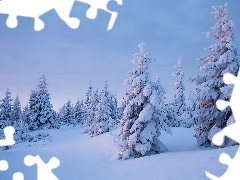 Ośnieżone, Drzewa, Zaspy, Śnieg, Zima