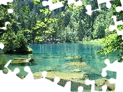Las, Kamienie, Niebieskie, Szwajcaria, Jezioro