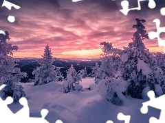 Zachód słońca, Ośnieżone, Laponia, Drzewa, Zima, Sallatunturi, Finlandia