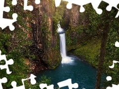 Wodospad, Stan Oregon, Skały, Park Narodowy Jeziora Kraterowego, Stany Zjednoczone, Toketee Falls, Roślinność