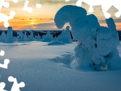 Park Narodowy Riisitunturi, Zaśnieżone, Laponia, Drzewa, Zima, Zachód słońca, Finlandia